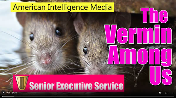 AFI. (Apr. 05, 2018). SES Vermin Among Us. Americans for Innovation, American Intelligence Media.
