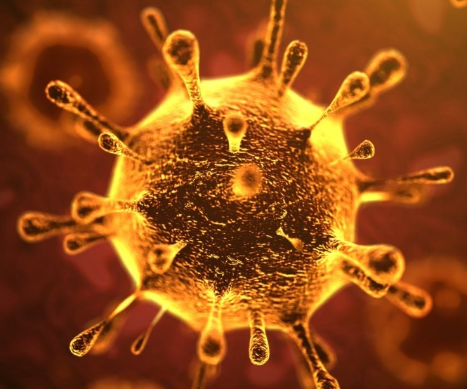 Coronavirus