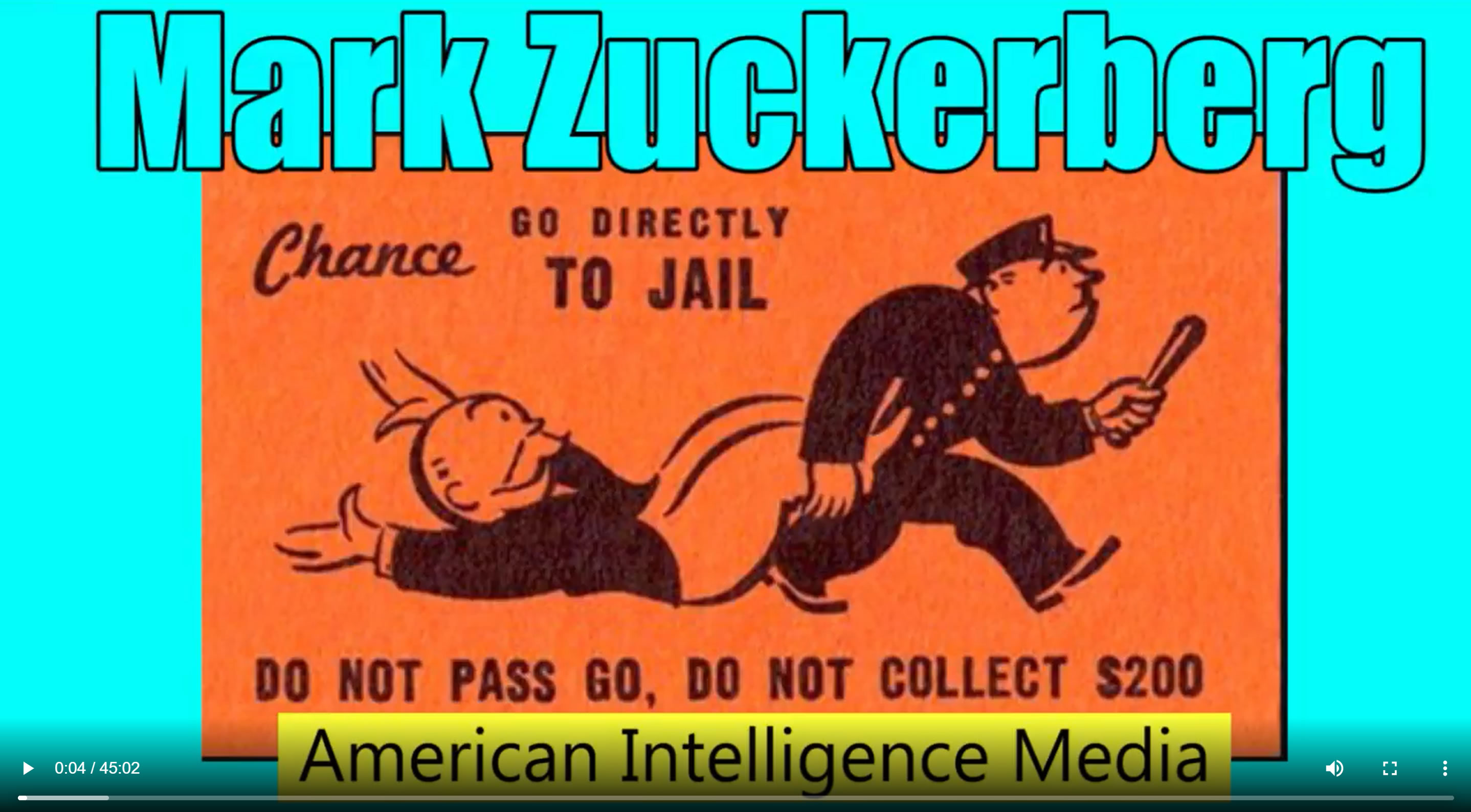 Thomas Paine, Michael McKibben. (Apr. 05, 2018). Facebook Commits Crimes Against the State. American Intelligence Media, Americans for Innovation.