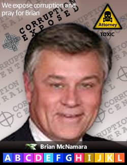 Brian J. McNamara, Patent Judge