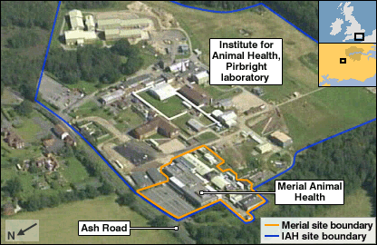 Institute for Animal Health, Pirbright laboratory, Merial Animal Health, Institute for Animal Health, Surrey, UK, from Editor. (Aug. 05, 2007). Foot-and-mouth strain identified BBC News.