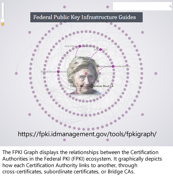 Hillary Clinton and the Rose Law Firm control the Federal Common Policy Group for issuing Internet browsing permissions