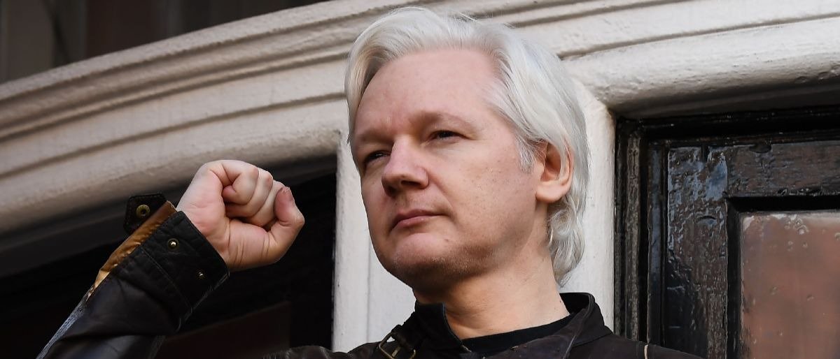 Roger Stone. (Feb. 09, 2018). OP-ED: ROGER STONE: Free Julian Assange, Mr. President. The Daily Caller.